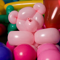 Ballonshow